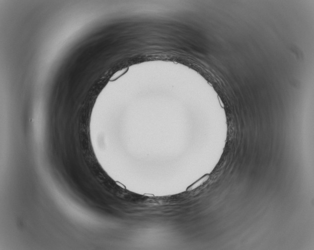 X0000112540764200909281059