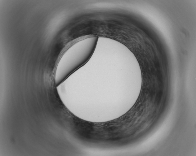X0000112540766200909281059