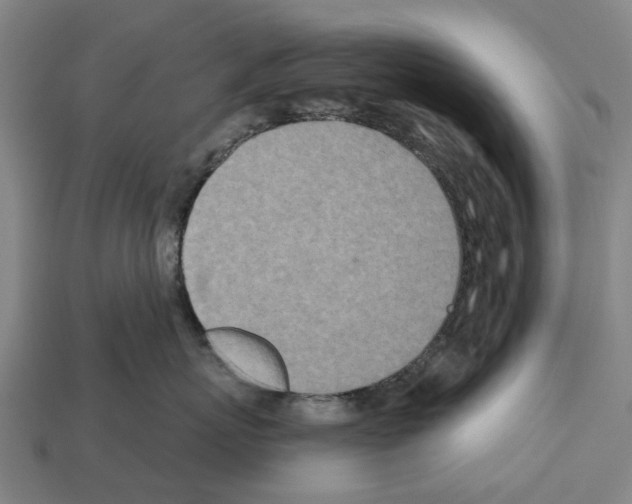 X0000112540767200909281059