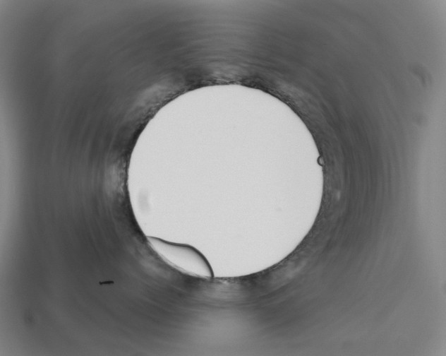 X0000112540768200909281059