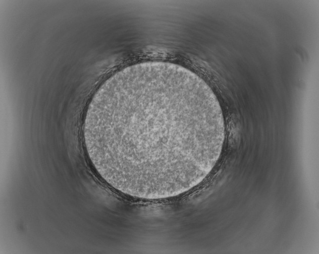 X0000112540769200909281058