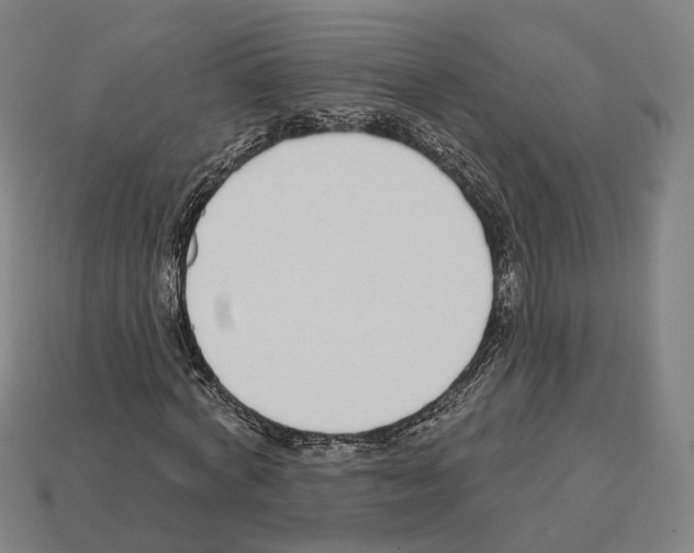 X0000112540772200909281058