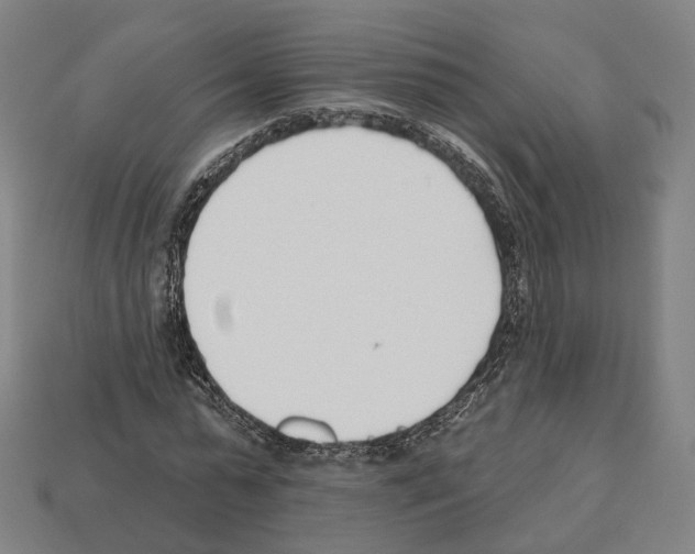 X0000112540775200909281058