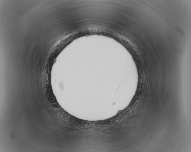 X0000112540776200909281058