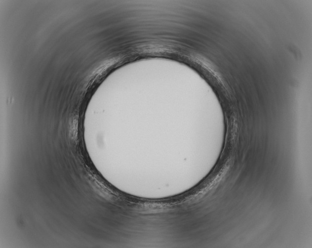 X0000112540777200909281058