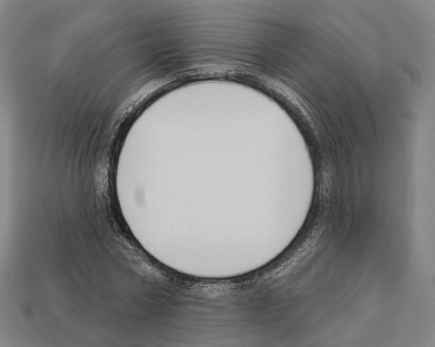 X0000112540778200909281058