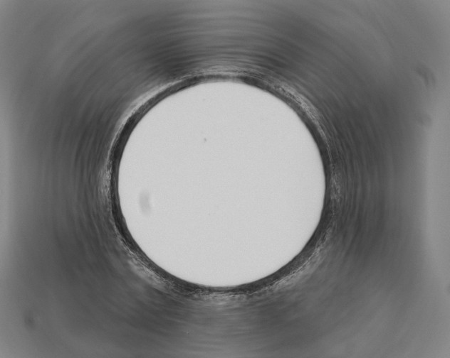 X0000112540779200909281058