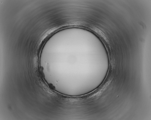 X0000112540781200909281058