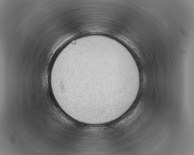 X0000112540782200909281058