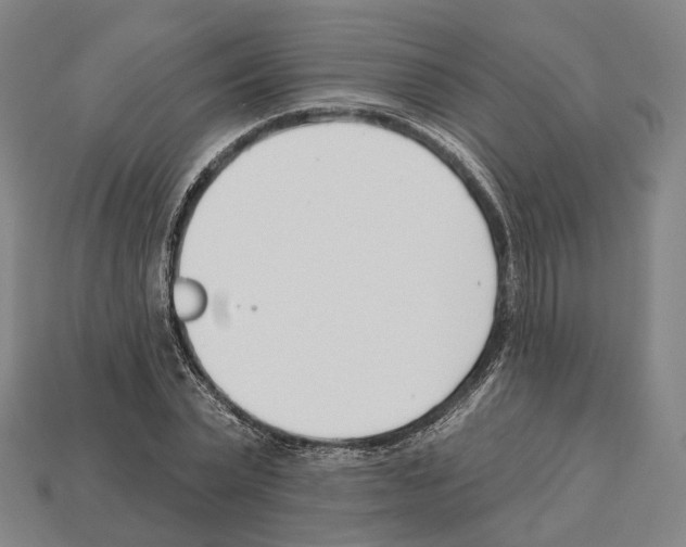 X0000112540783200909281058