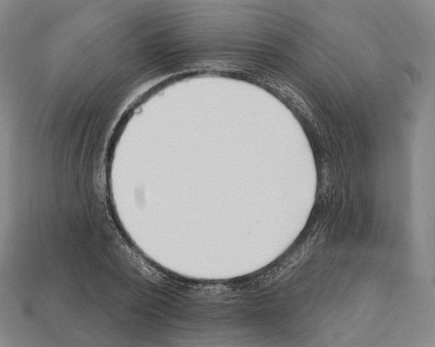 X0000112540784200909281058