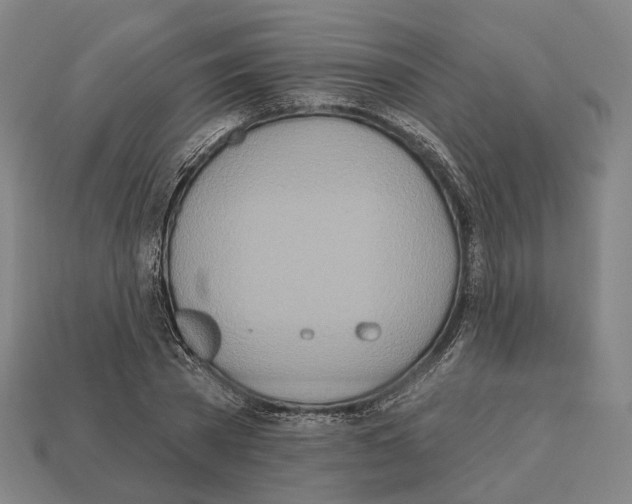 X0000112540785200909281058