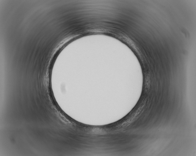 X0000112540787200909281058