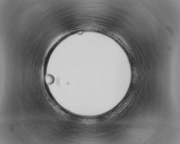 X0000112540788200909281058