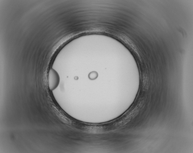 X0000112540789200909281058
