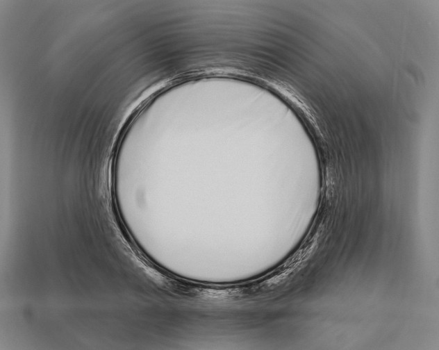 X0000112540790200909281058