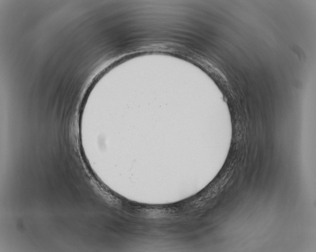 X0000112540792200909281058