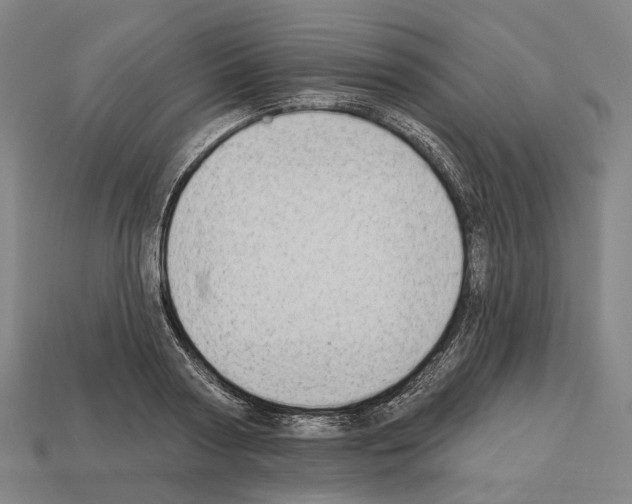 X0000112540794200909281058
