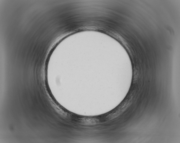 X0000112540795200909281058