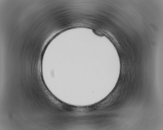 X0000112540796200909281058