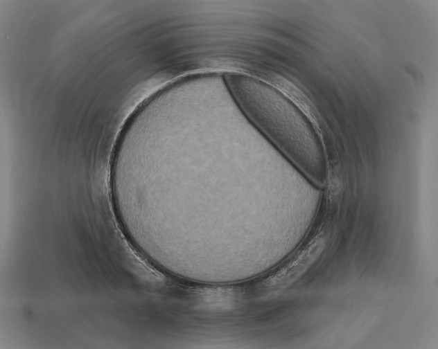 X0000112540797200909281058