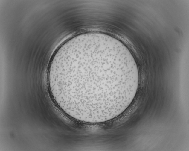 X0000112540798200909281058