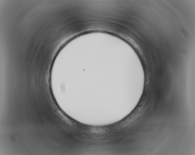 X0000112540799200909281058