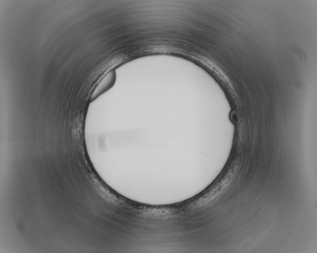 X0000112540801200909281058