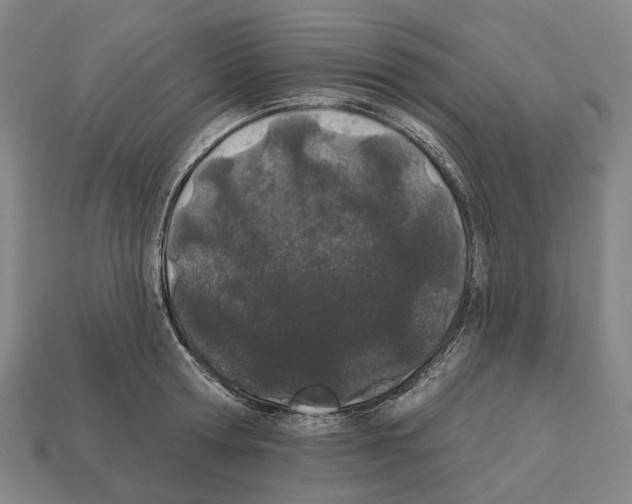 X0000112540802200909281058