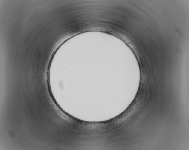 X0000112540803200909281058