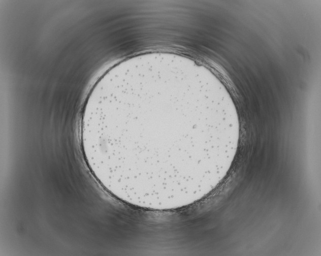 X0000112540804200909281058