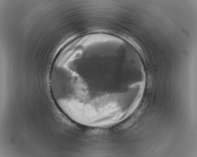 X0000112540806200909281058