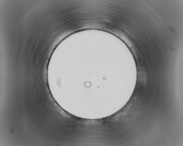 X0000112540807200909281058
