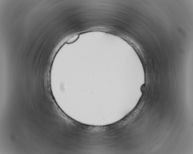 X0000112540808200909281058