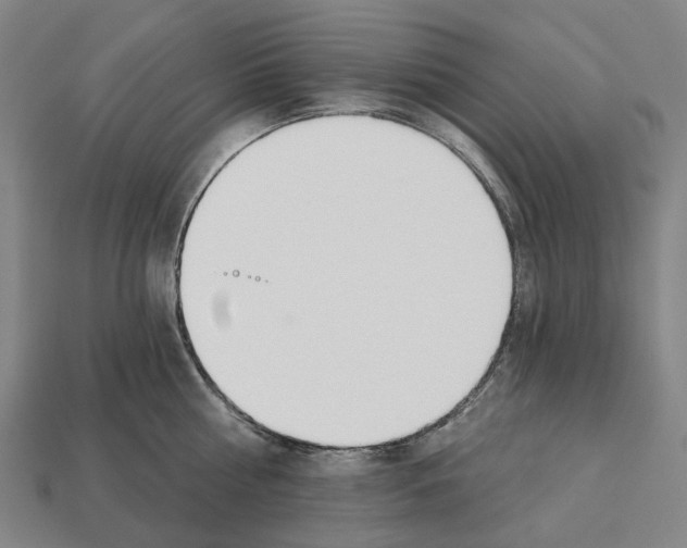 X0000112540810200909281058