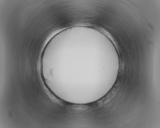 X0000112540811200909281058