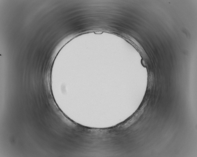 X0000112540812200909281058