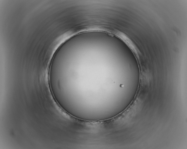 X0000112540813200909281058