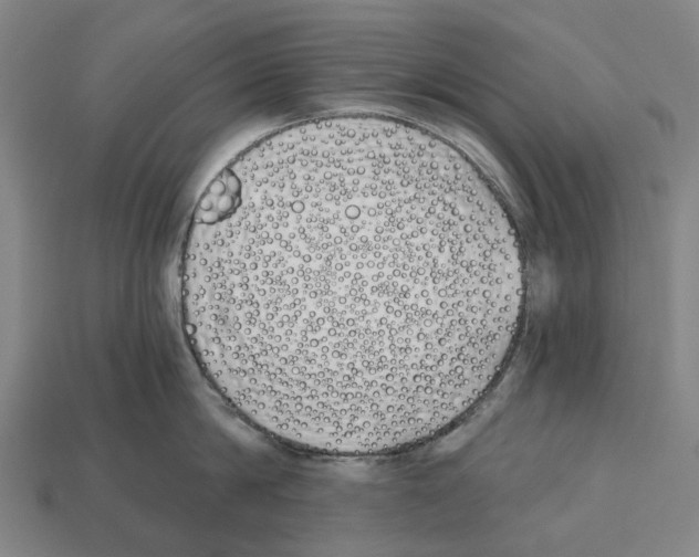 X0000112540814200909281058