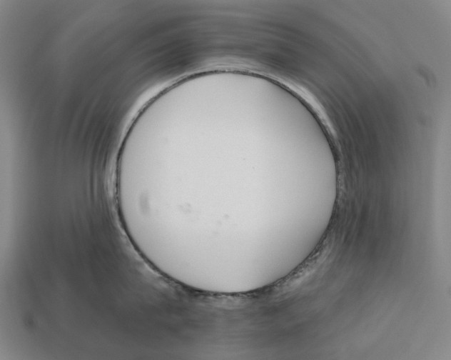 X0000112540815200909281058