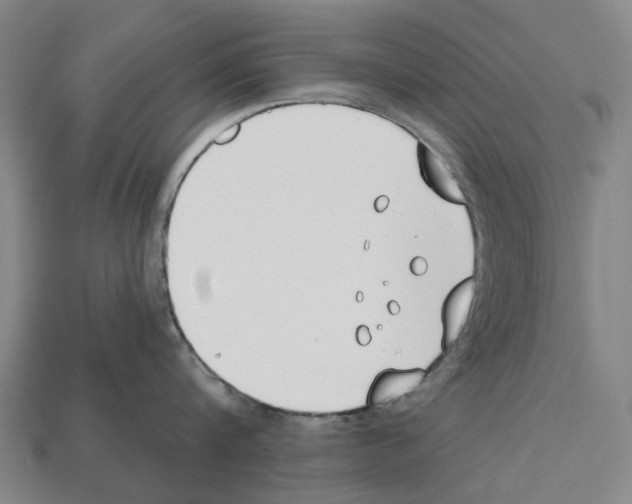 X0000112540816200909281058
