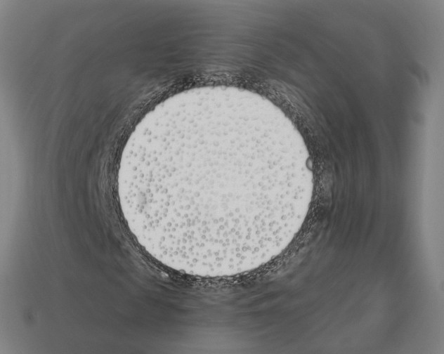 X0000112540817200909281057