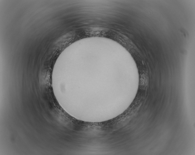 X0000112540820200909281057