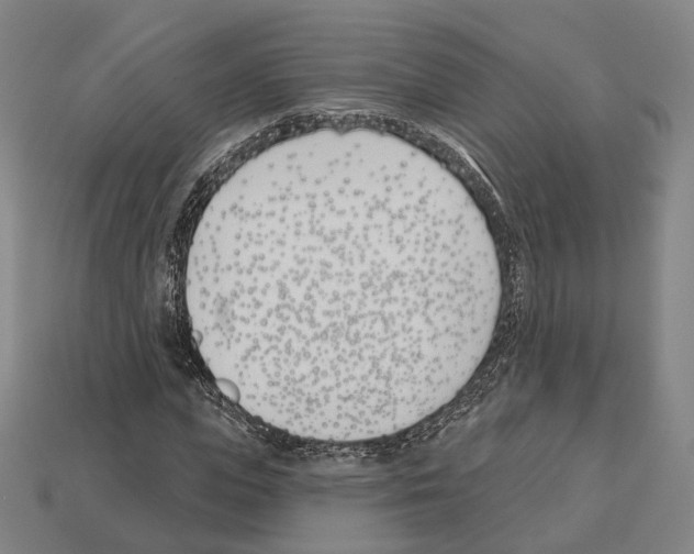 X0000112540823200909281057