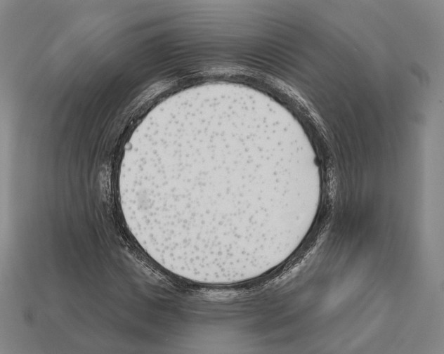 X0000112540825200909281057