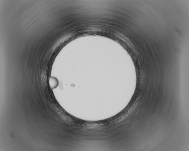X0000112540826200909281057