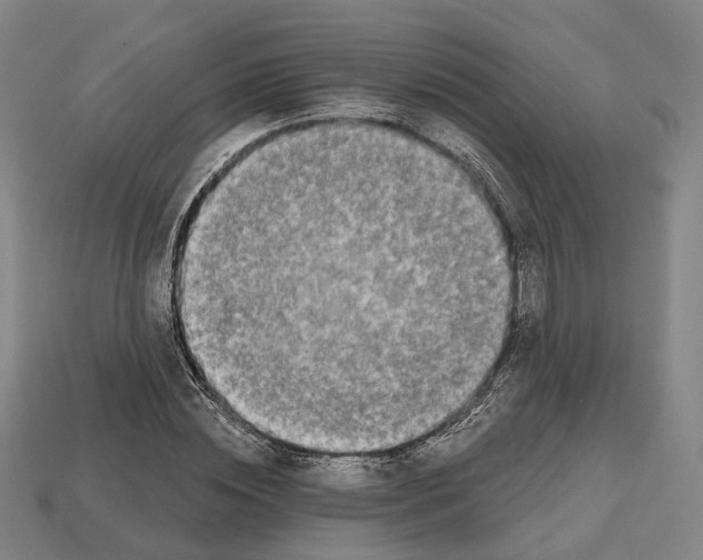 X0000112540828200909281057