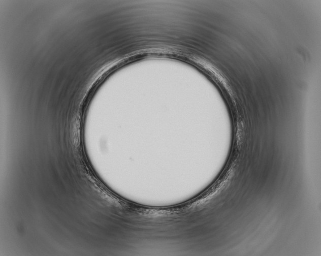 X0000112540829200909281057
