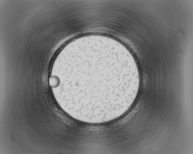 X0000112540830200909281057