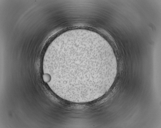 X0000112540831200909281057